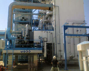 meleti10